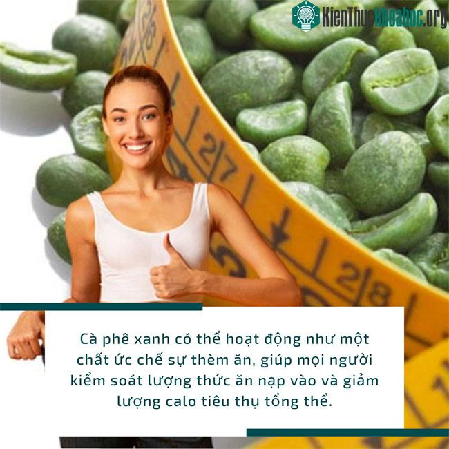 Hạt cà phê xanh còn được gọi là cà phê tươi.
