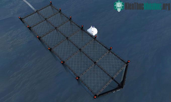 Hệ thống SeaFisher gồm 12 lồng nuôi cá nổi gần mặt nước khi sóng không quá cao.