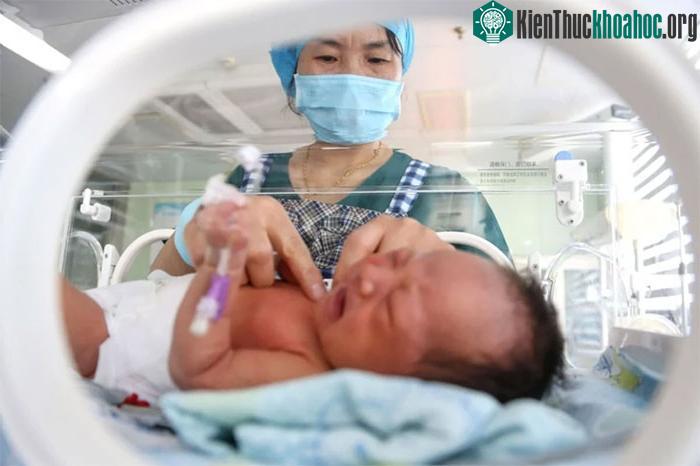 Căn cứ mới xác định giới tính nam hay nữ đó là dựa trên nhiễm sắc thể trong tế bào sinh sản.
