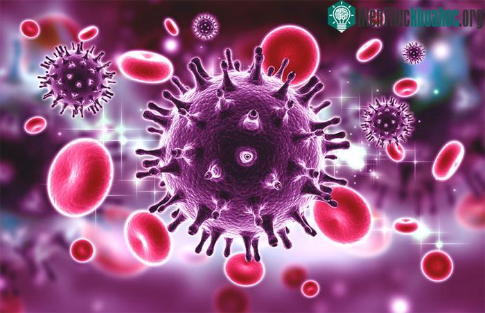 Các nhà khoa học hy vọng cuối cùng có thể loại bỏ hoàn toàn virus HIV khỏi cơ thể