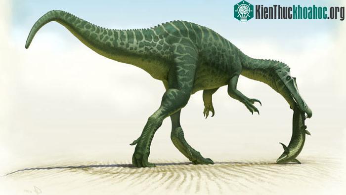 Loài quái thú mới được phát hiện ở Tây Ban Nha là một đại long xương gai