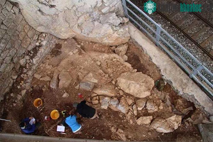 người Neanderthals cũng bố trí không gian sống như người hiện đại