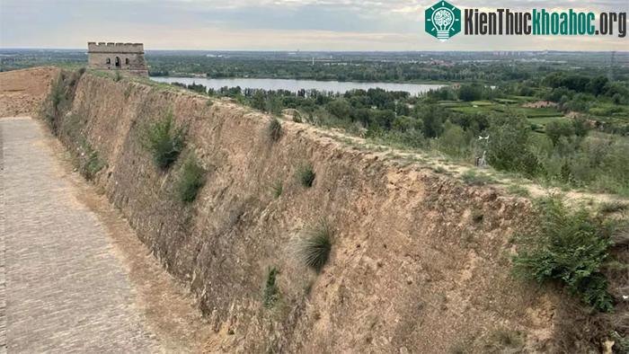 "Lớp da sống" này gồm các loài thực vật nhỏ bé, không có rễ và vi sinh vật...