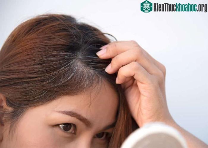 Tóc bạc