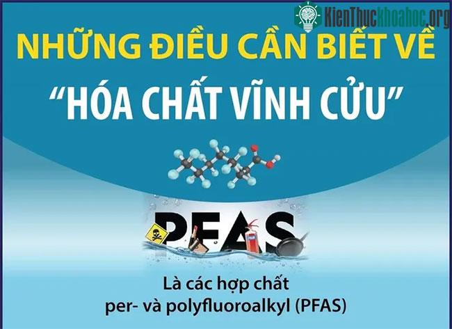 Những điều cần biết về "hóa chất vĩnh cửu" ảnh 0