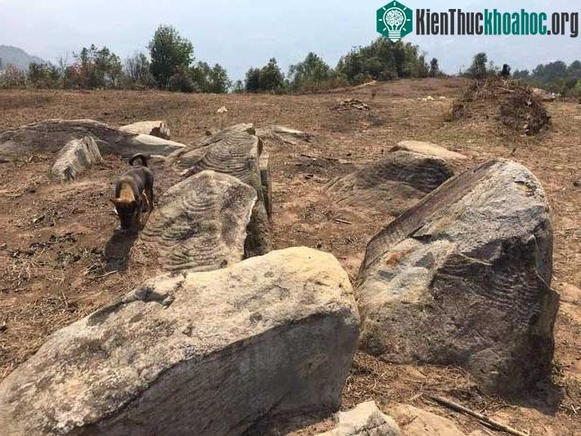 Phát lộ nhiều khối đá cổ khắc ruộng bậc thang ở Mù Cang Chải ảnh 1