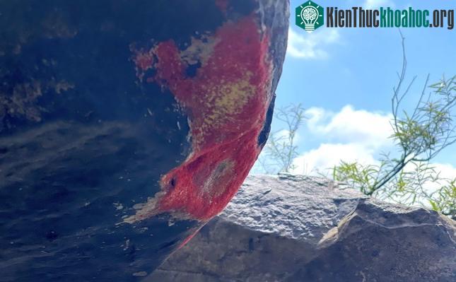 Hiện tượng kỳ lạ: Tảng đá "nở hoa" ở Quảng Nam ảnh 1