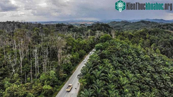 Ảnh vệ tinh cho thấy thủ đô mới nhất trên thế giới đang hình thành ảnh 1