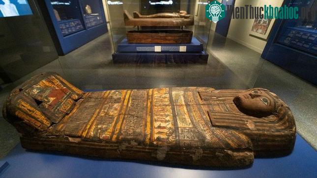 Sarcophagi - quan tài tinh xảo