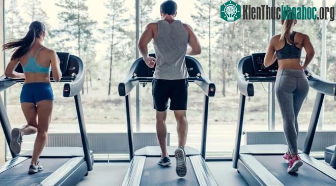 Hãy đảm bảo bạn mặc quần áo tập thể dục vừa vặn và mang giày chắc chắn khi tập.