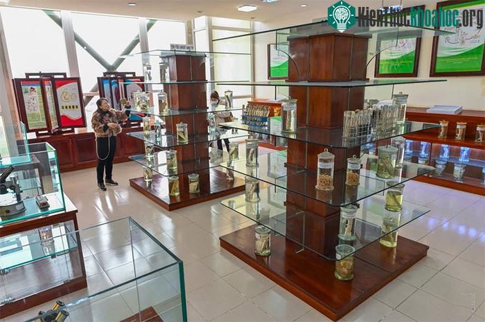 Bảo tàng được hình thành ý tưởng từ năm 2010 và chính thức thành lập vào năm 2013