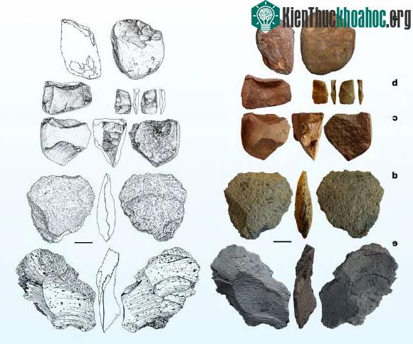 Báu vật 1,42 triệu tuổi từ loài người khác lộ diện ở Ukraine ảnh 1