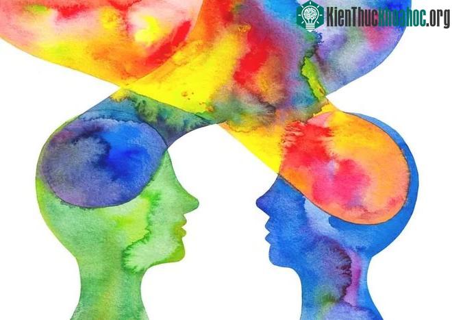 Ngay cả khi chúng ta không chú ý nhưng tâm trí chúng ta vẫn phản ứng với chúng.
