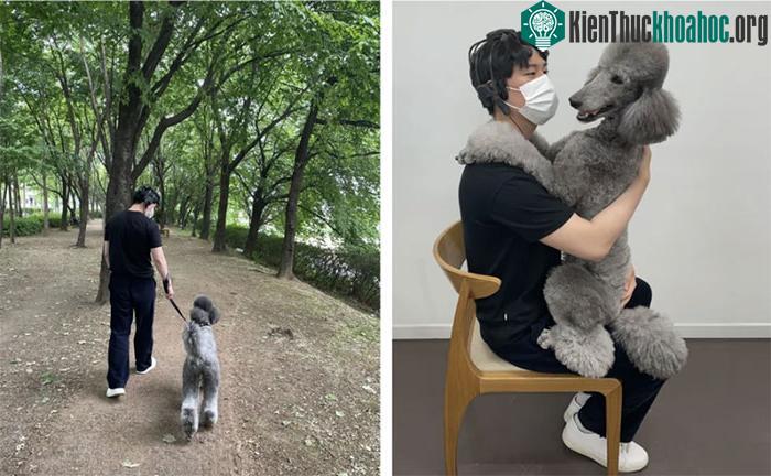 Một trong số những người tham gia vào thí nghiệm tương tác với con chó poodle tên là Aro