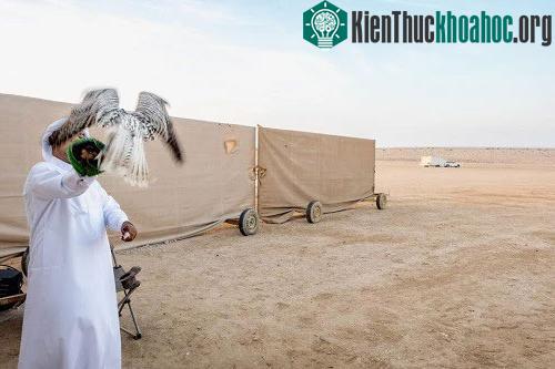 Nhu cầu gia tăng ở Trung Đông cũng mang đến nhiều tác động tiêu cực