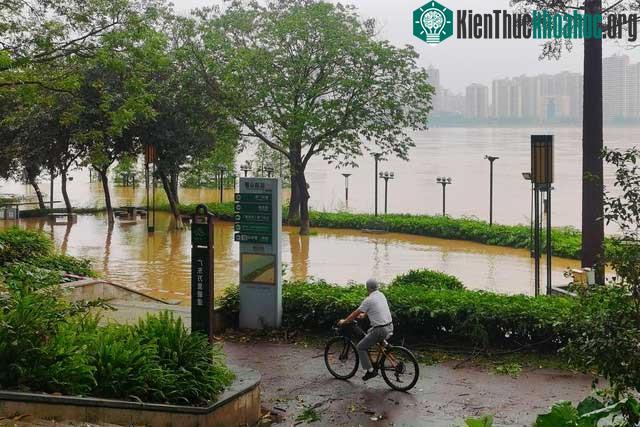 Lũ lụt nghiêm trọng nhất trong 100 năm đổ bộ Trung Quốc, ảnh từ trên cao tiết lộ hiện trường kinh hoàng ảnh 10