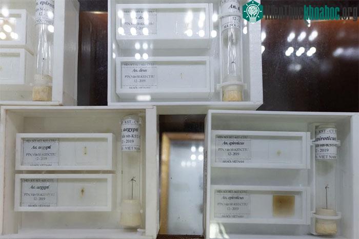 Bảo tàng không dành cho người yếu tim duy nhất tại Việt Nam ảnh 12