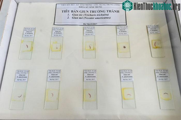 Các hiện vật tại đây được bảo quản theo quy trình nghiêm ngặt