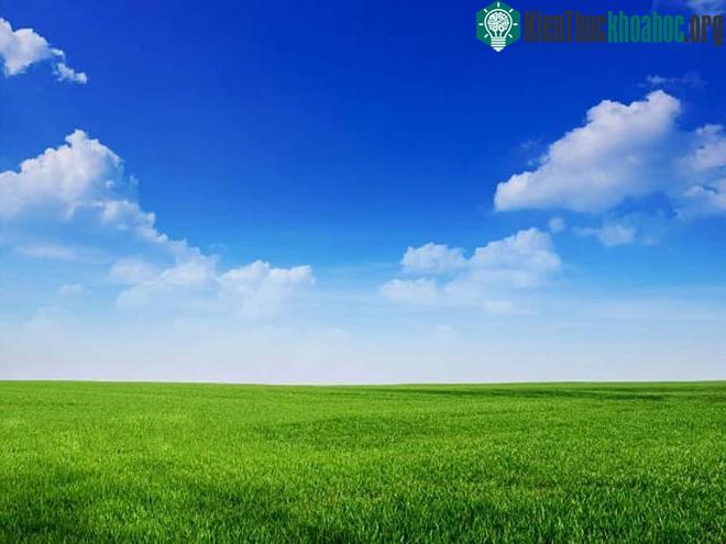 &nbsp;Màu xanh da trời và màu xanh lá gợi cảm giác tươi mát và bình yên.