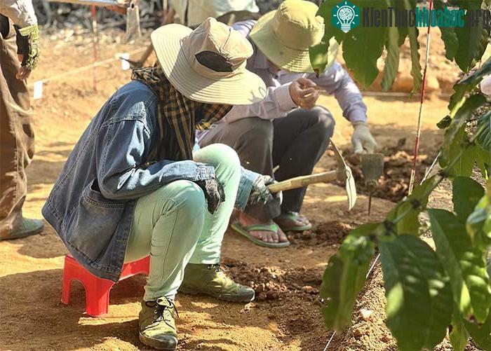 Phát hiện dấu tích tiền sử tại Đắk Nông qua khai quật khảo cổ ảnh 2