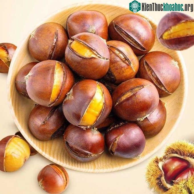 Hạt dẻ