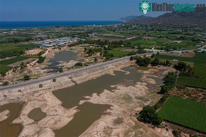 Hạn hán khốc liệt ở miền Trung khiến những đàn cừu Ninh Thuận chết khô, hồ nước trơ đáy, nứt nẻ ảnh 2