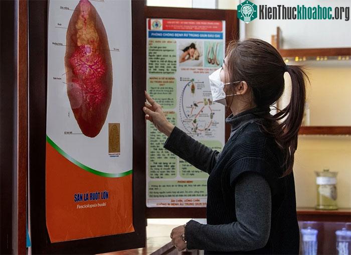 Bảo tàng không dành cho người yếu tim duy nhất tại Việt Nam ảnh 3