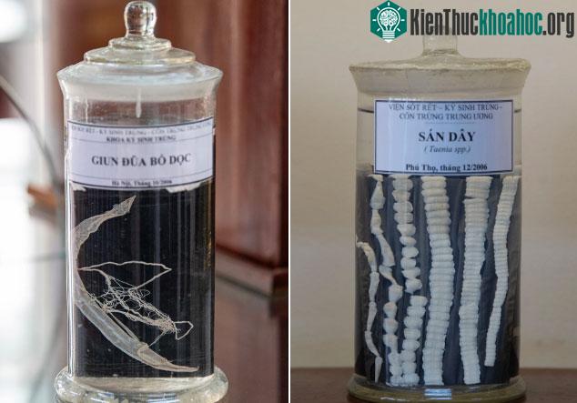 Bảo tàng không dành cho người yếu tim duy nhất tại Việt Nam ảnh 6