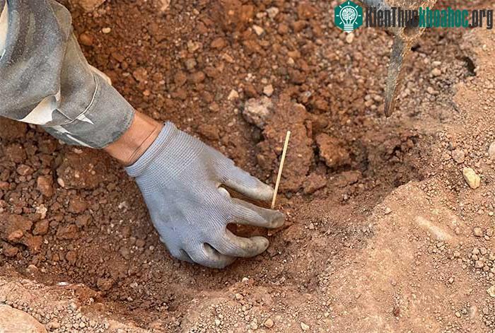 Đây là một di tích tiêu biểu cho một giai đoạn phát triển thời tiền sử của vùng Tây Nguyên