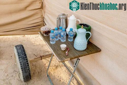 Huấn luyện chim ưng: Nghề kiếm ra hàng triệu USD ở Trung Đông ảnh 7