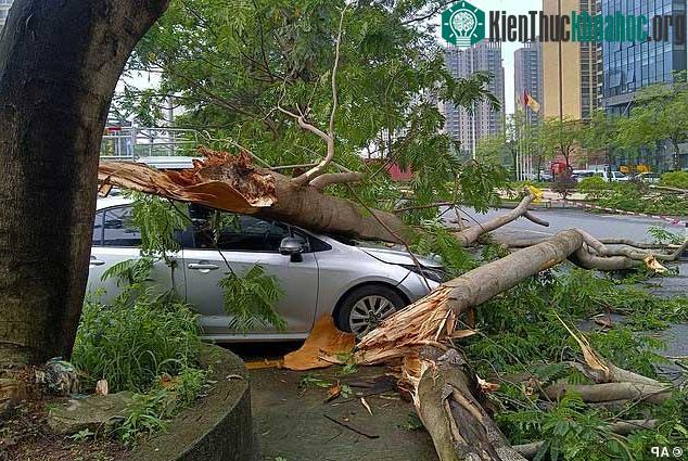 Lũ lụt nghiêm trọng nhất trong 100 năm đổ bộ Trung Quốc, ảnh từ trên cao tiết lộ hiện trường kinh hoàng ảnh 9