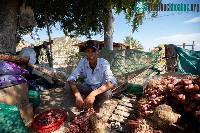 Hạn hán khốc liệt ở miền Trung khiến những đàn cừu Ninh Thuận chết khô, hồ nước trơ đáy, nứt nẻ ảnh 9