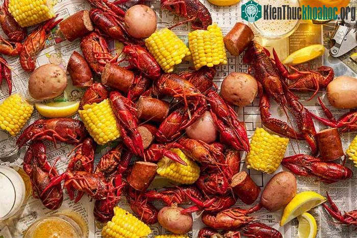 Sự thật về giá trị dinh dưỡng của "quái vật" tôm hùm đất ảnh 0
