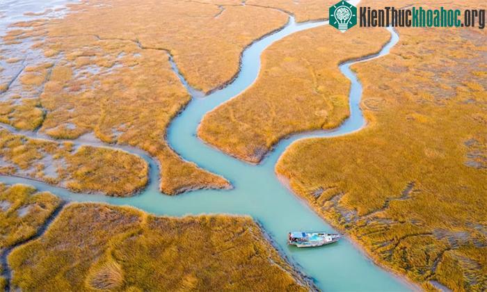Một tàu đánh cá di chuyển ở cửa sông Hoàng Hà, tỉnh Sơn Đông, Trung Quốc.