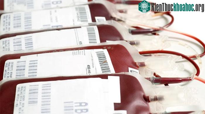Truyền nhầm loại máu có thể dẫn đến phản ứng miễn dịch gây tử vong.