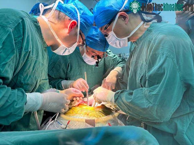 Các bác sĩ đang ghép gan lợn cho bệnh nhân 71 tuổi tại Bệnh viện Liên kết Số một, ngày 17/5.