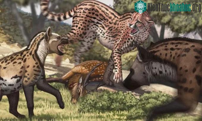 Hình ảnh phục dựng của báo săn khổng lồ Acinonyx pleistocaenicus.
