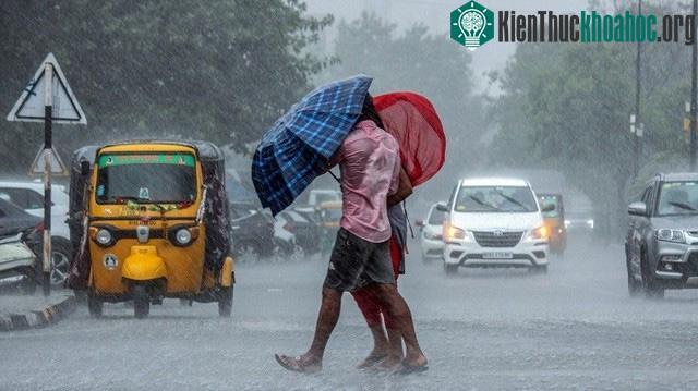 Khả năng La Nina phát triển vào cao điểm của mùa bão Thái Bình Dương 2024.