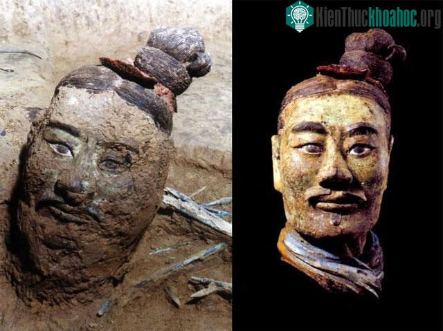 Sự thật về những "bông hoa" màu trắng nở rộ khi soi kính hiển vi đội quân đất nung ảnh 1