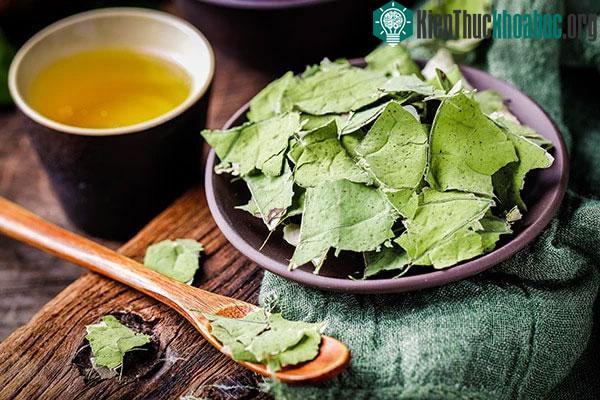 Trà lá sen có thể giúp chúng ta thúc đẩy nhu động ruột và loại bỏ độc tố.