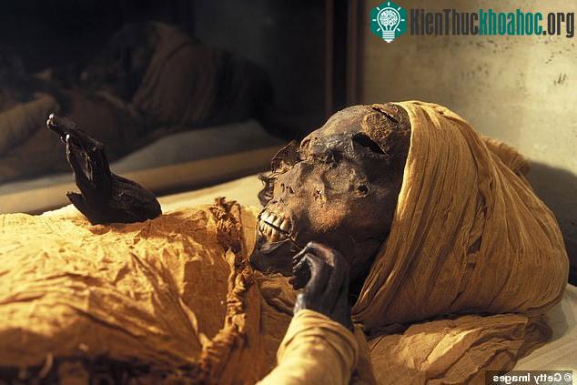 Xác ướp của pharaoh Seqenenre Tao được khai quật.