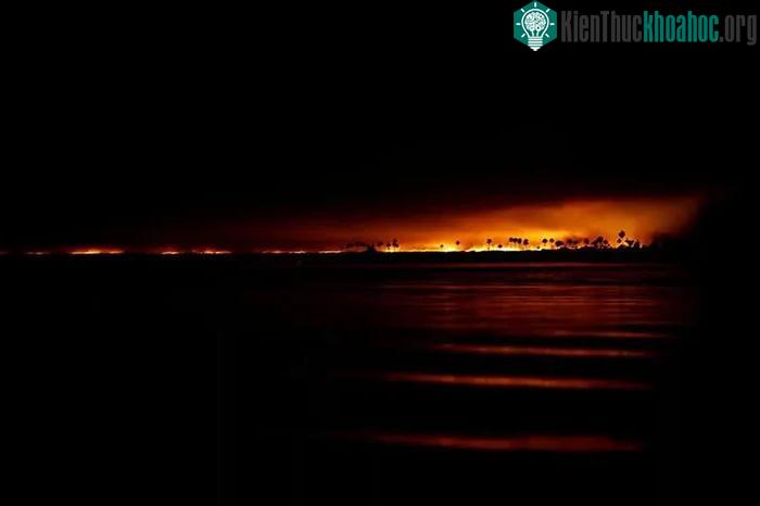 Toàn cảnh cháy rừng thiêu rụi vùng đất ngập nước lớn nhất thế giới ảnh 13