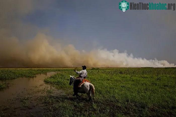 Toàn cảnh cháy rừng thiêu rụi vùng đất ngập nước lớn nhất thế giới ảnh 16
