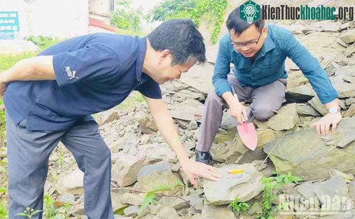 Ông Trương Quang Quý, Bảo tàng Địa chất trước hiện vật được tìm thấy