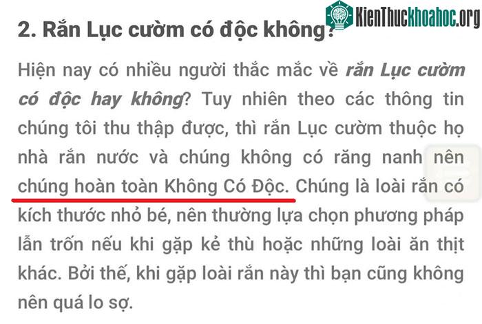 Một thông tin hoàn toàn sai về rắn lục cườm được tìm thấy trên Google