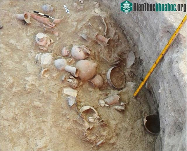 Đang khảo sát thì phát hiện từ trường dị thường, chuyên gia lần theo và phát lộ kho báu đầy vàng ảnh 2