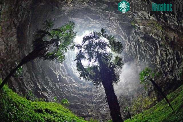 Hố sụt Xiaozhai Tiankeng được hình thành cách đây khoảng 128.000 năm