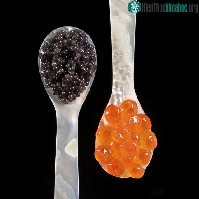 Trứng cá tầm muối