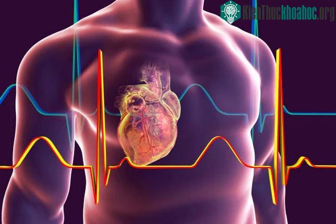 Các triệu chứng khác của bệnh suy tim như khó thở, thở ngắn, thở dốc, phù chân, tay.