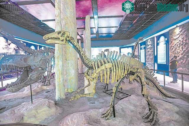 Bên trong Bảo tàng khủng long.